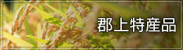 郡上特産品 郡上特産品